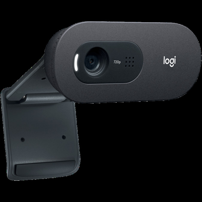 LOGITECH C505 HD Webcam - BLACK - USB- EMEA - 935