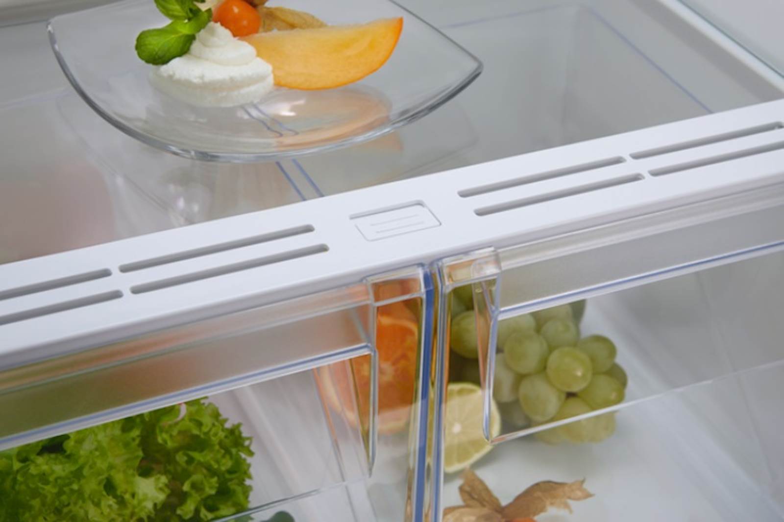 Frižider Electrolux sa zamrzivačem ENT6NE18S