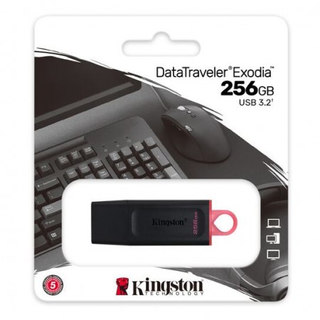 USB3.2 KINGSTON 256GB DataTravel Exodia