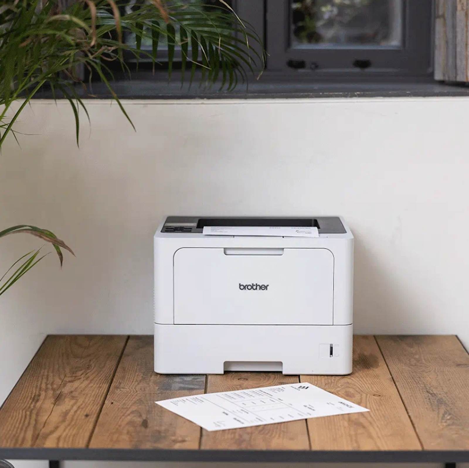 Printer BROTHER HL-L5210DN