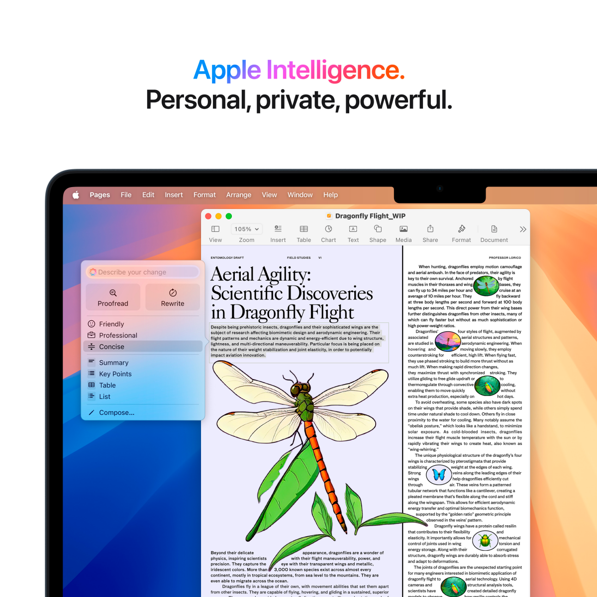 Apple MacBook Air 13.6: STARLIGHT/M4 10C CPU/8C GPU/16GB/256GB-CRO