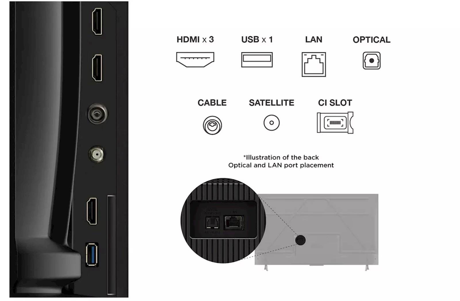 TV TCL 4K LED 55V6C