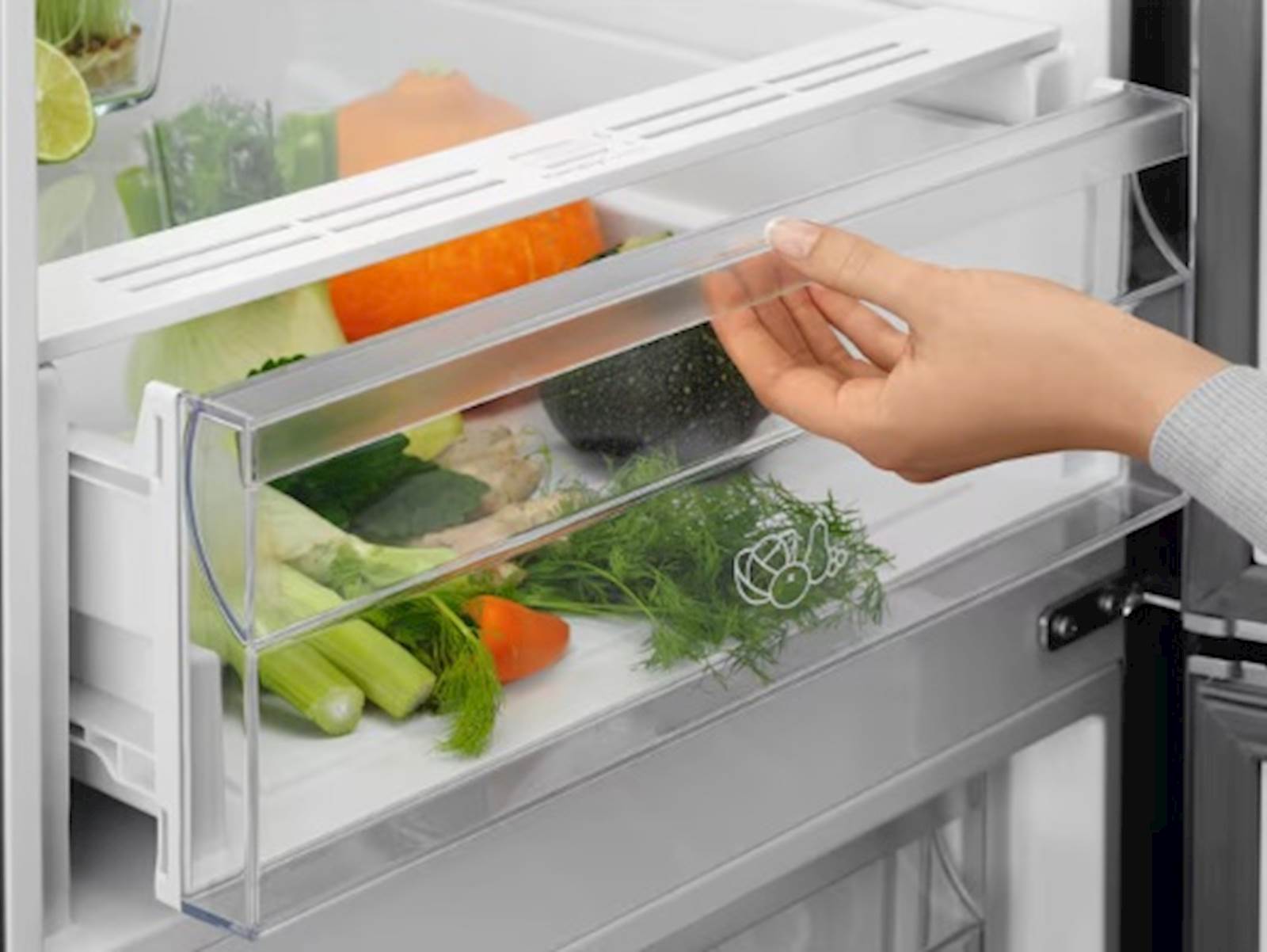 Frižider ELECTROLUX sa zamrzivačem LNT5ME36U1