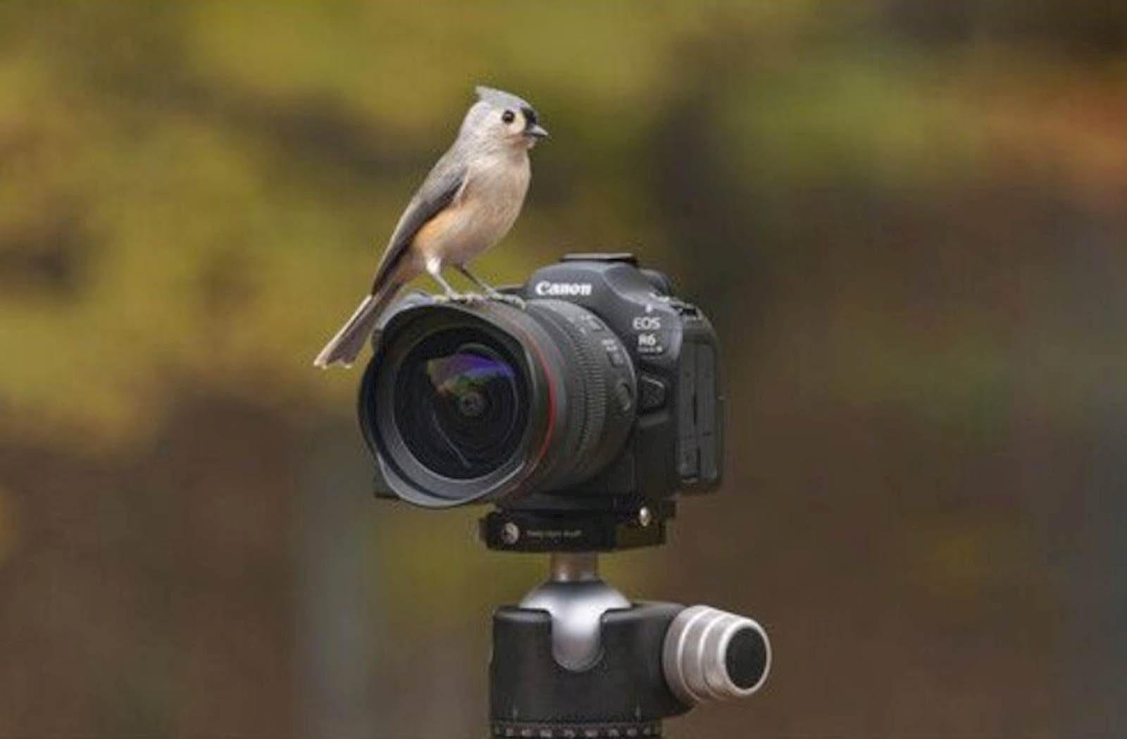 Fotoaparat CANON R6III V5 RF24-105MM STM