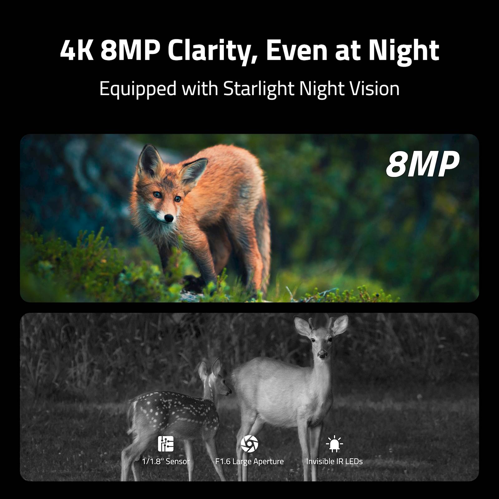 Reolink IP kamera Camovue Talon Serija S130 LTE/GPS, AAA baterije, prepoznaje 12 vrsta životinja