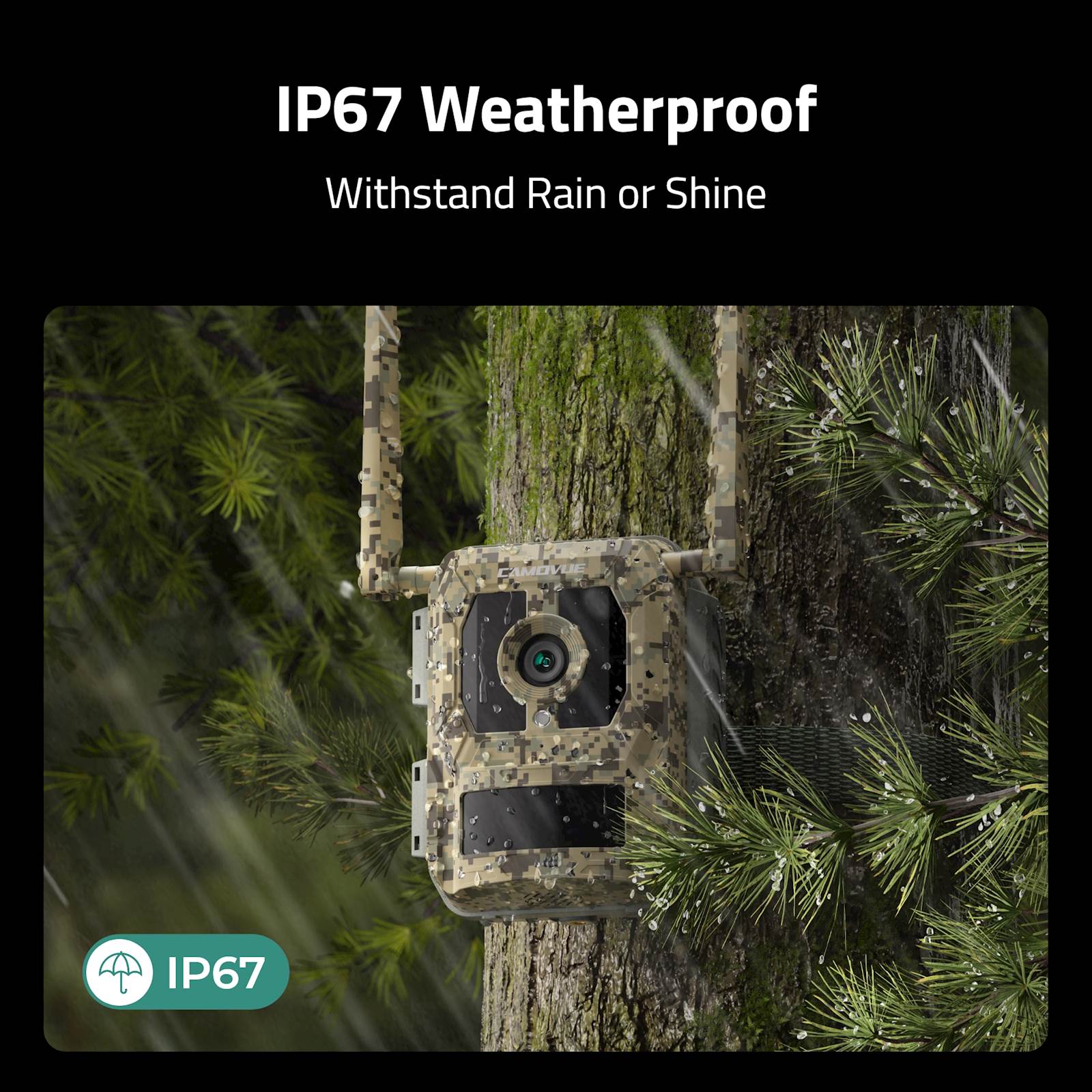 Reolink IP kamera Camovue Talon Serija S130 LTE/GPS, AAA baterije, prepoznaje 12 vrsta životinja