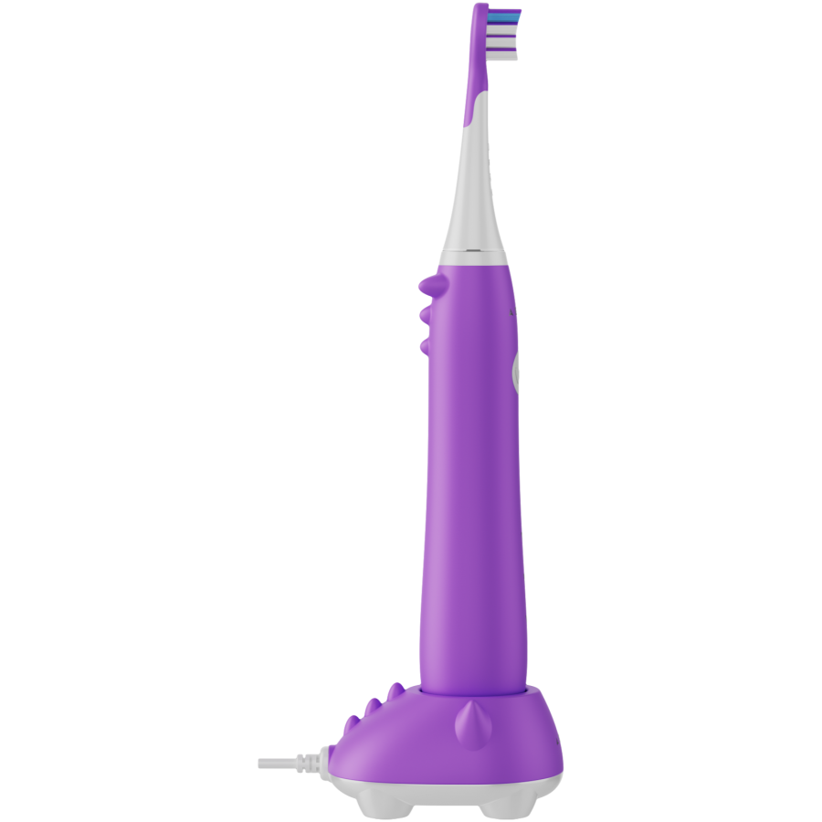 Wireless Tooth Brush, Violet, 3 Brush Heads, 600mAh, Function: Sensive, Clean, Whitening, Sweep, Smart Remind